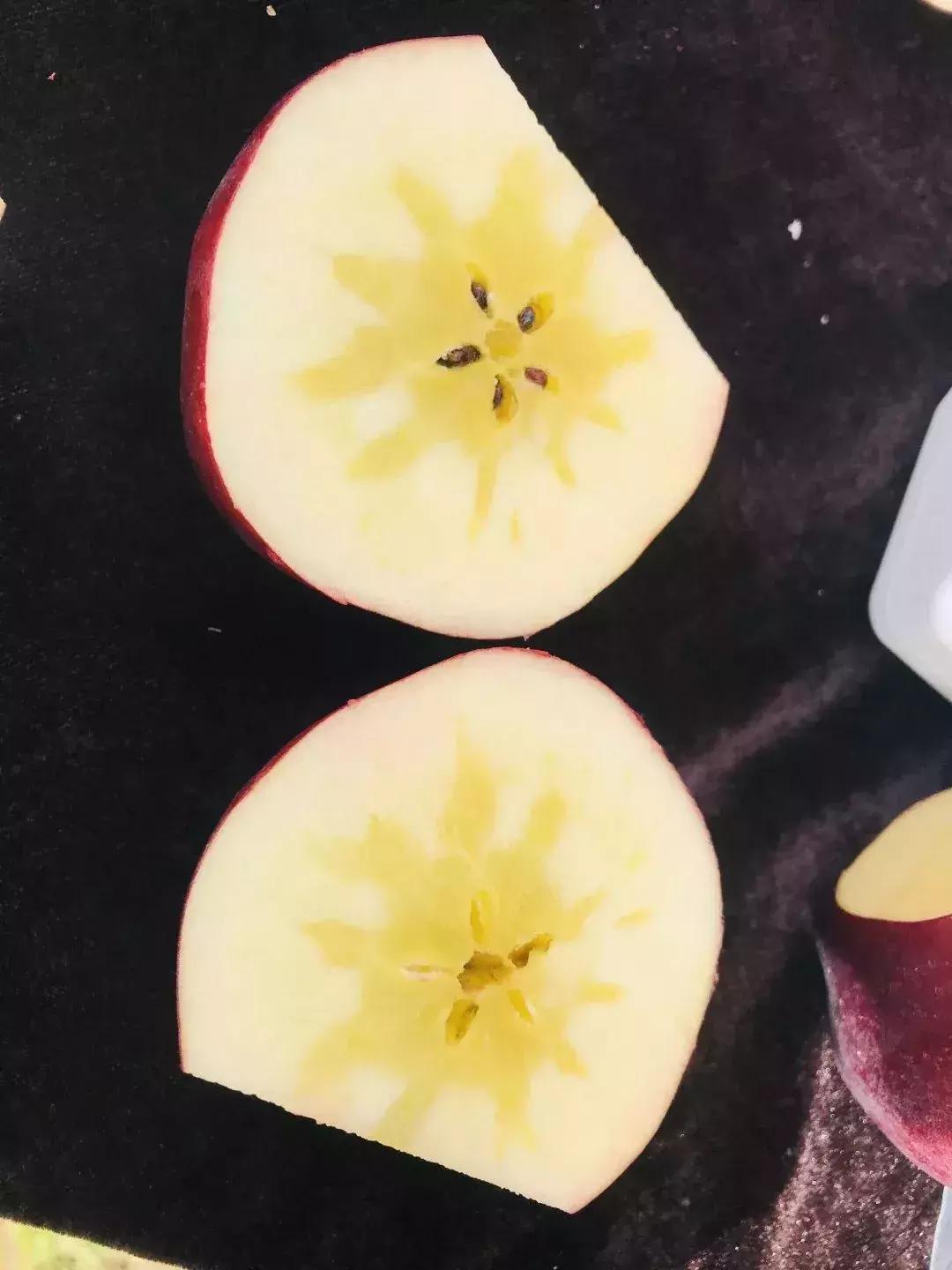 这种黑苹果68元一个，种植效益怎么样？