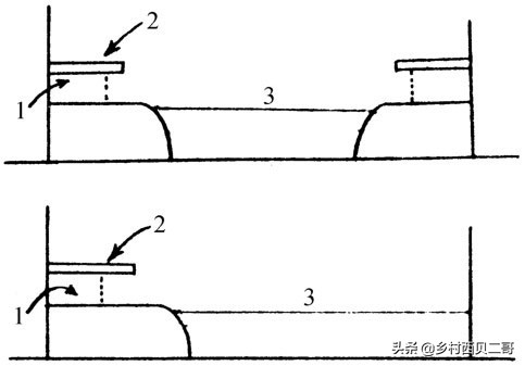农业部对人工养殖牛蛙的最新规定,养殖牛蛙跟公司合作模式