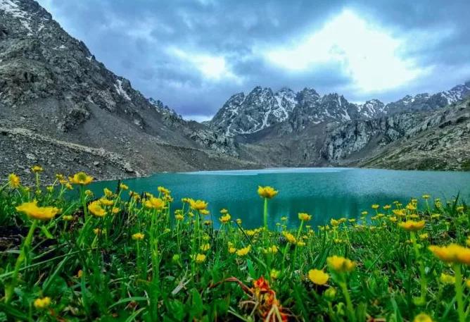 夏日的冰沟河作者：董涛