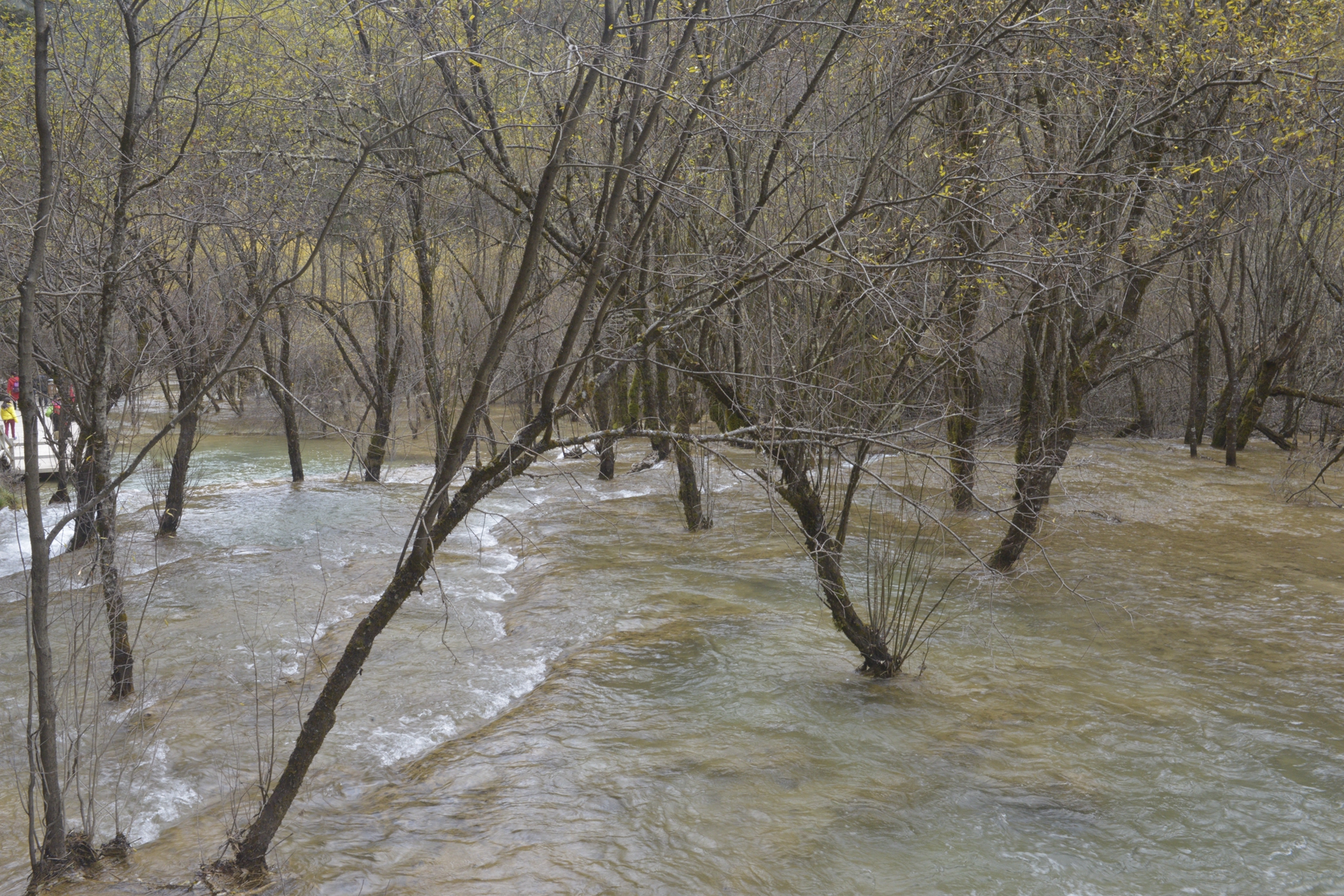 九寨沟梦幻天堂,自驾畅游九寨沟童话世界