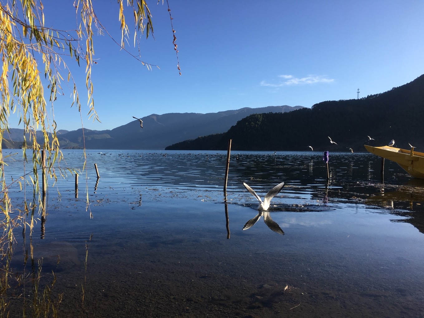 云南6日5晚自由行,云南六天五晚自由行