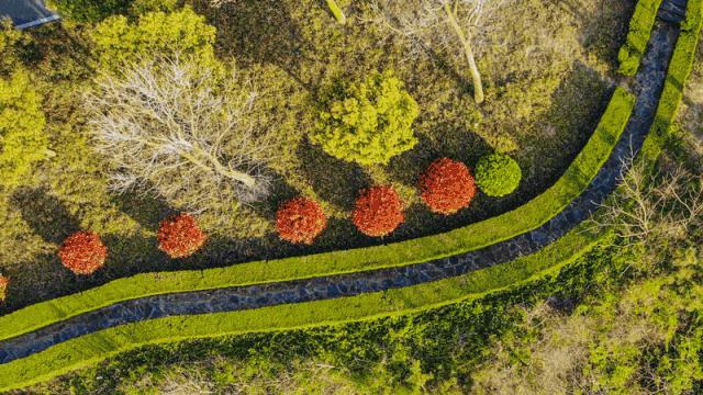 合肥景区免费景点,合肥旅游景点大全免费玩