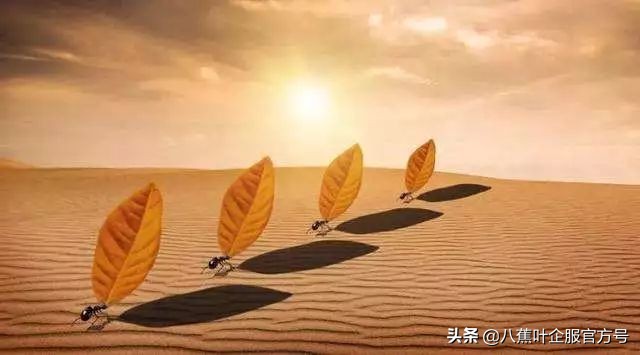 难的事往往是最该做的,一定要去做难而正确的事