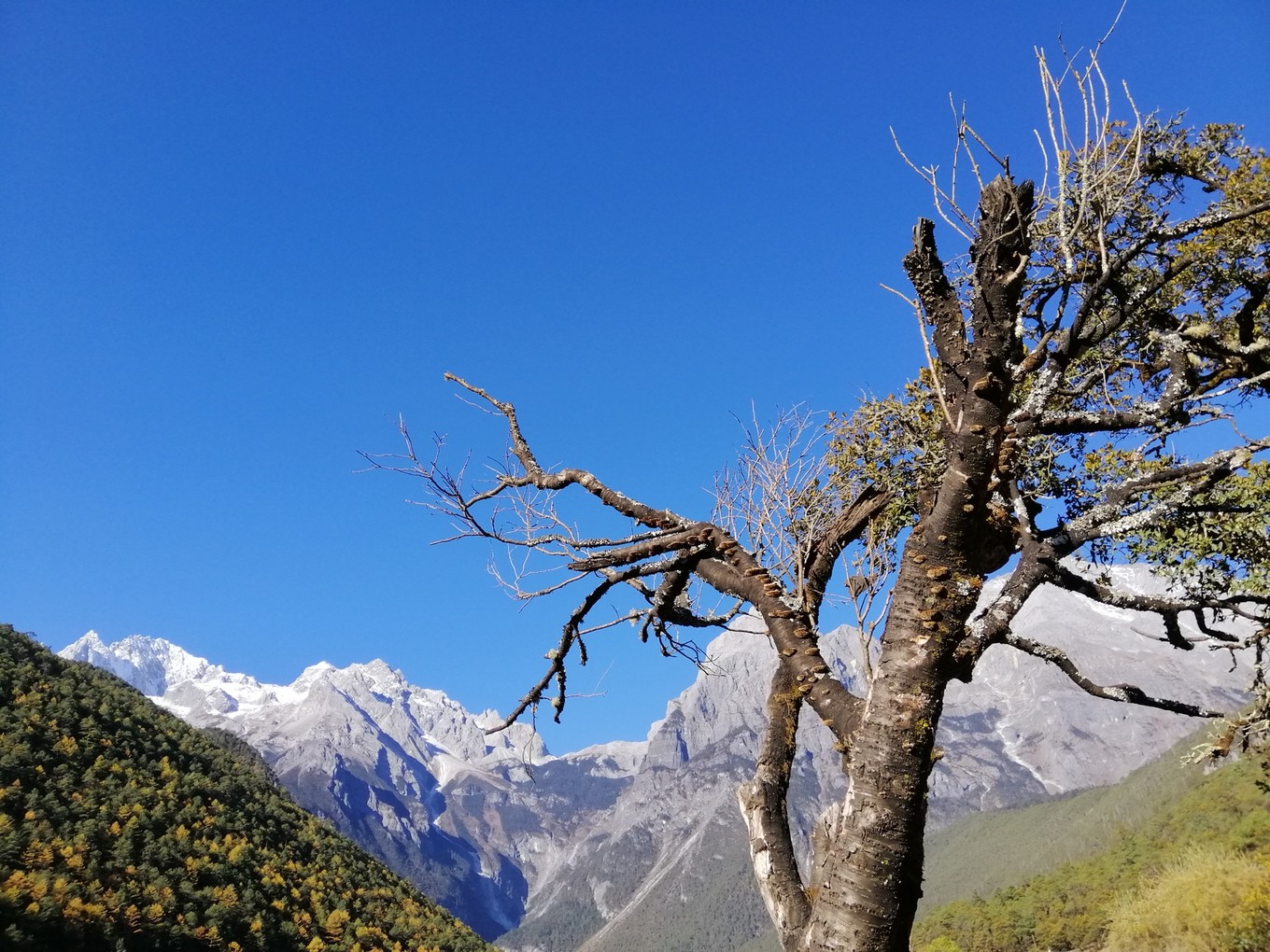 云南6日5晚自由行,云南六天五晚自由行