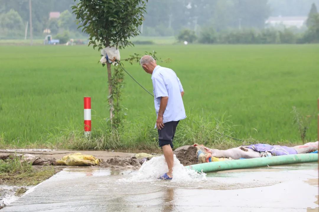 这六个月，仙桃过得怎么样？