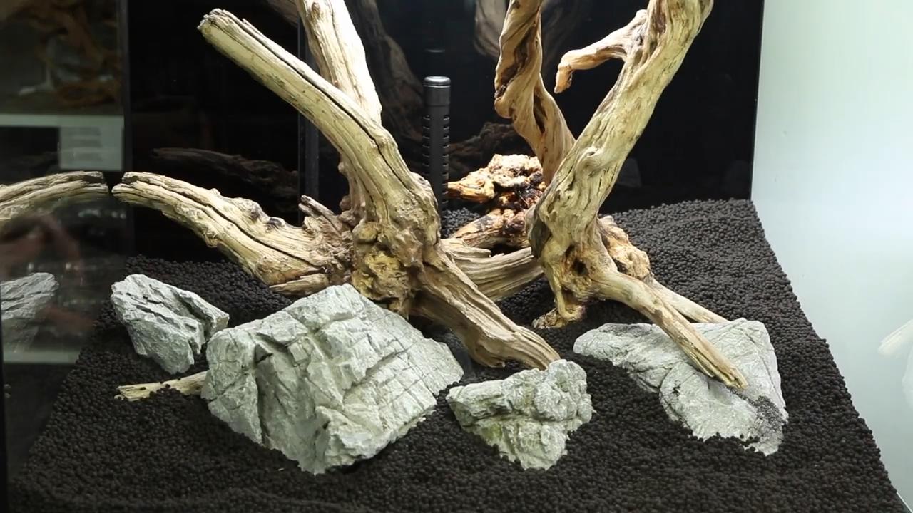 鱼缸造景水草需要二氧化碳吗,胶粘完水草可以直接放在鱼缸里吗