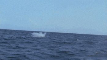 怎么判断男人是走肾还是走心,男人走肾女人走心怎么办