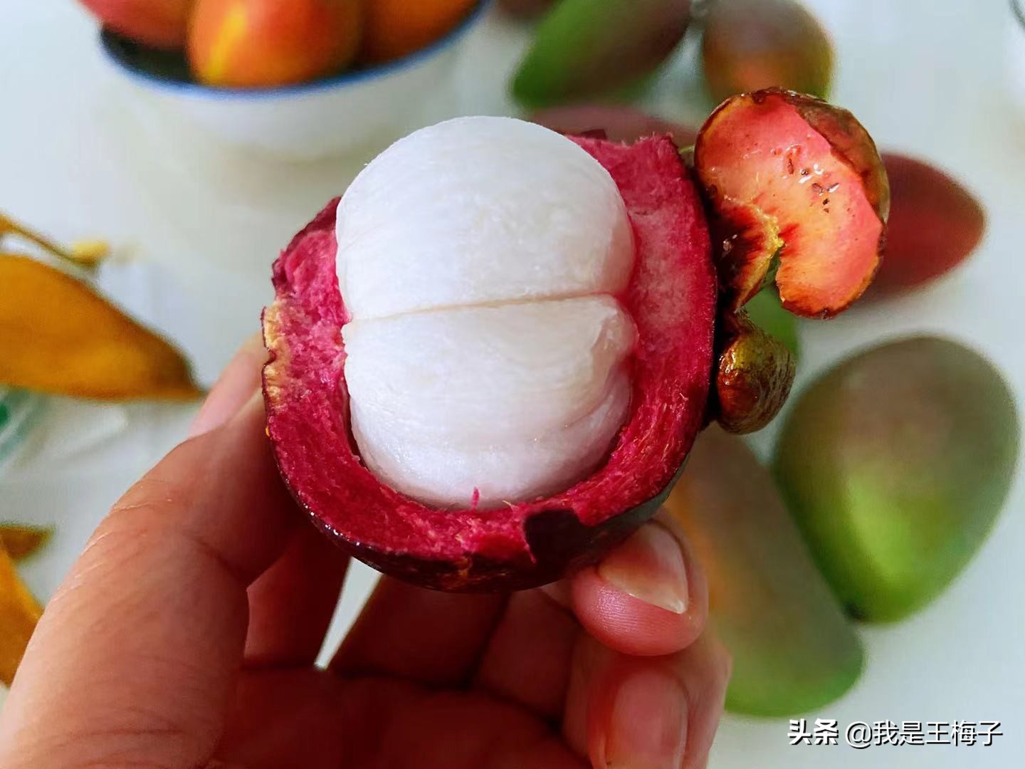 山竹一棵能结果吗,山竹一棵树产量大为什么这么贵