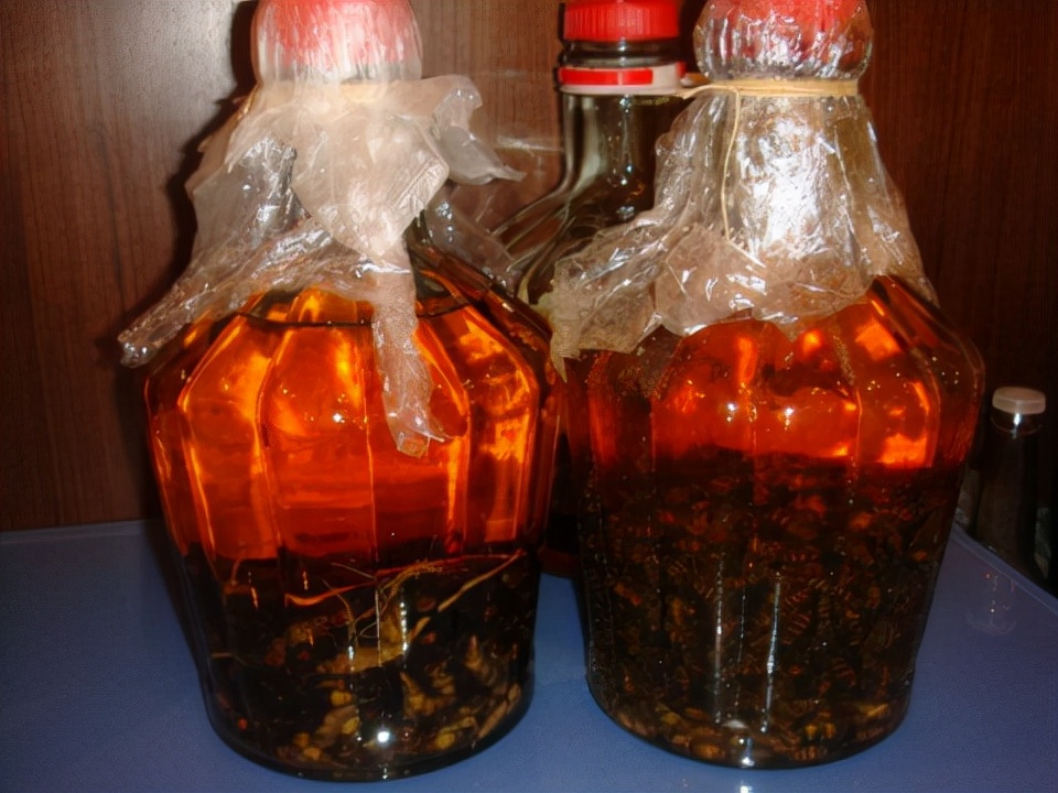 最大蜈蚣捕食,巨型蜈蚣vs海鸟