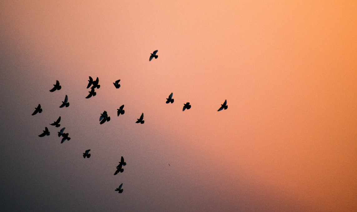 印度人说咖喱味英文,印度英语咖喱味日本英语什么味