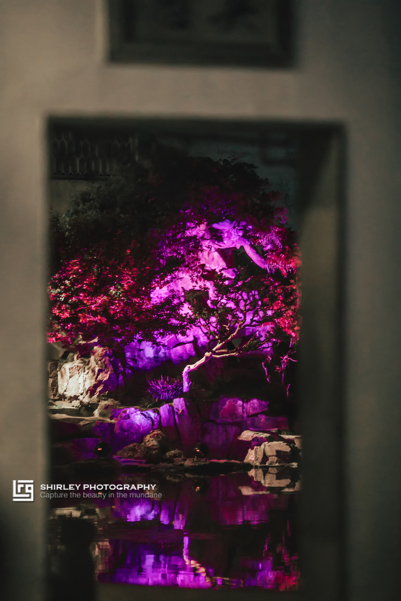 苏州旅游最不能错过的江南园林,留园拙政园是苏州著名的园林