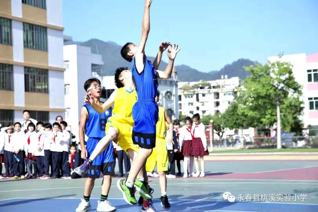 动起来，桃溪少年！——泛阳光体育之舟，展桃溪学子风采