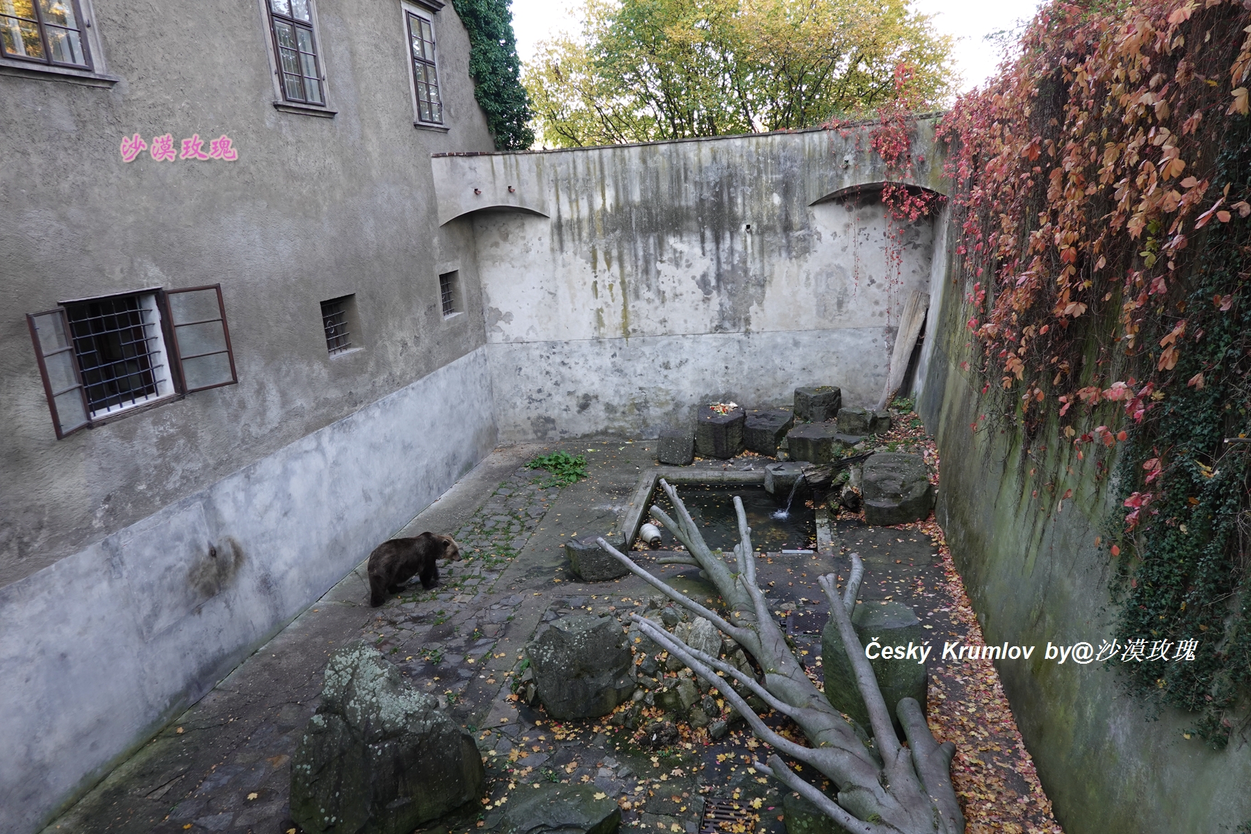 捷克最美城堡在哪,捷克最美小镇视频