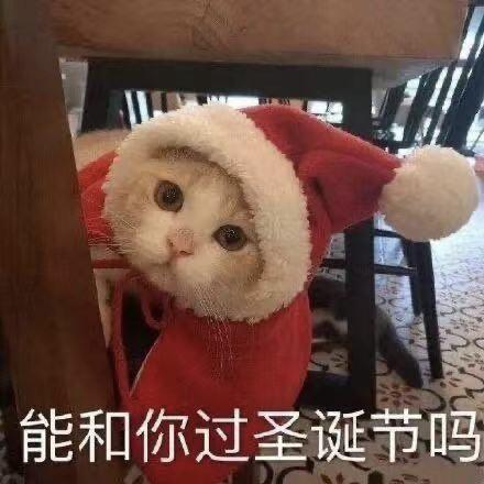 日本圣诞节打折攻略 (日本圣诞在哪里过)