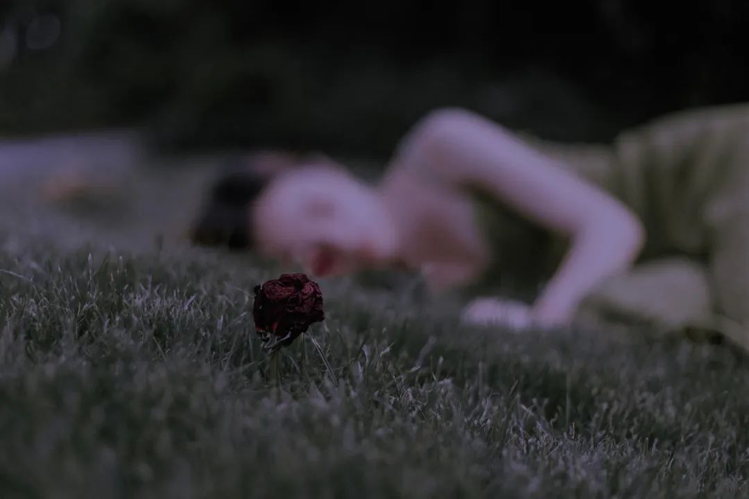 浙大副教授谈情感,浙江大学教授讲谈恋爱的技巧