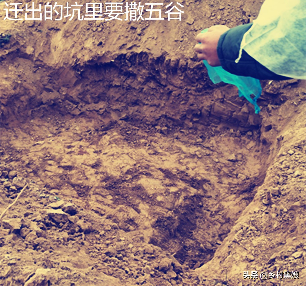 农村迁坟的讲究及流程,农村迁墓风俗