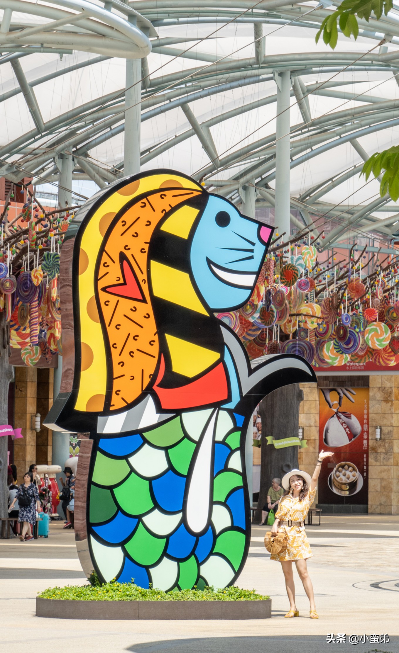 5年之许,小白逆袭重返新加坡