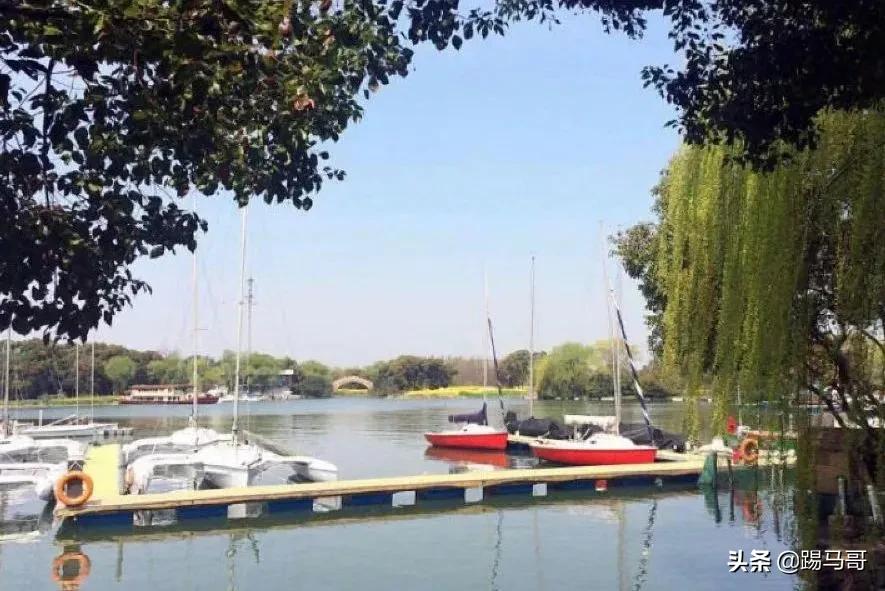 上海附近有哪些露营地可以看星星,上海周边免费露营地推荐人多