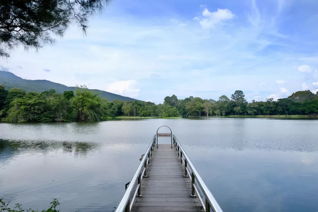 清迈美食攻略大全,最新清迈美食攻略