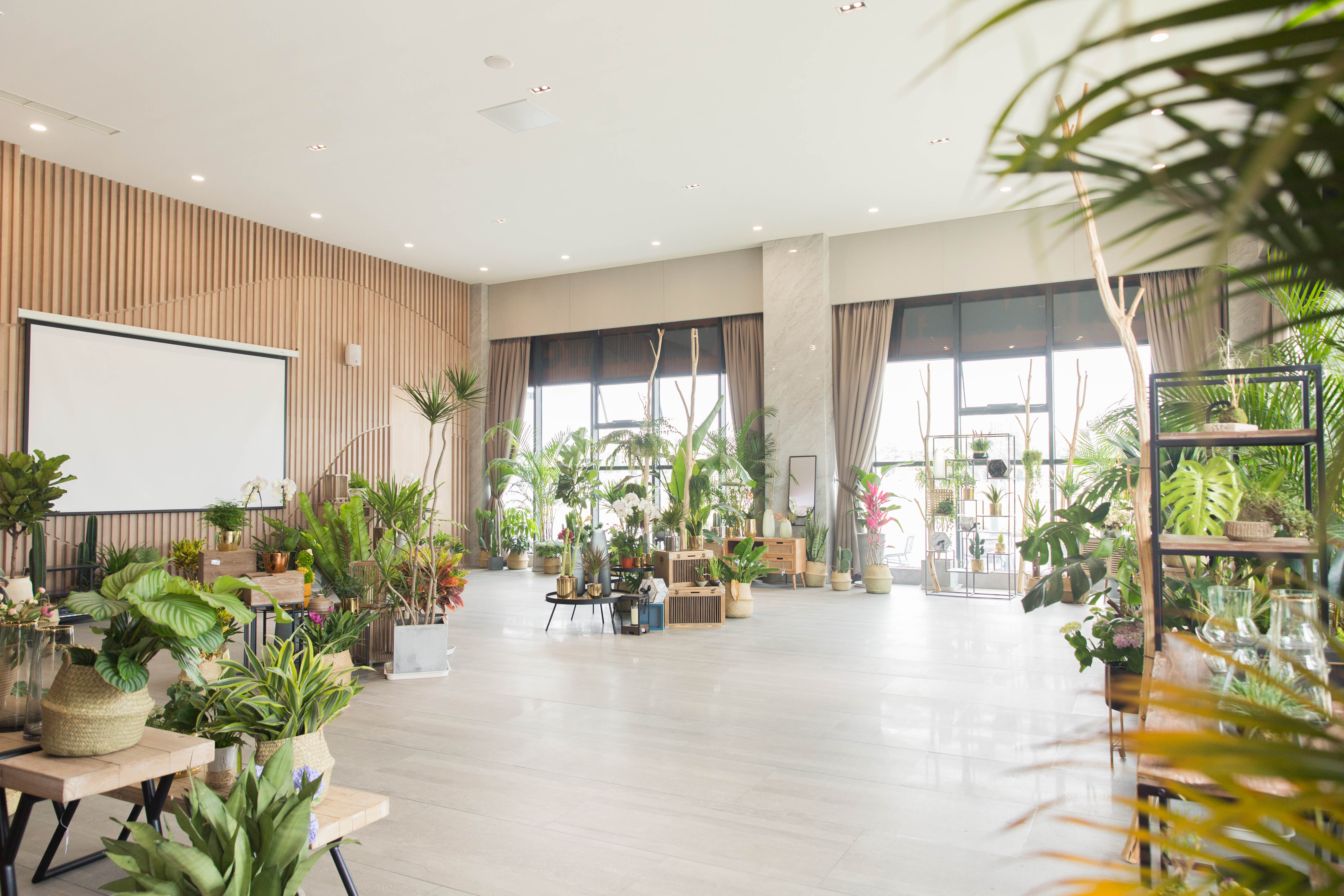 0基础学习花艺需要问些什么,想学花艺师怎么入门