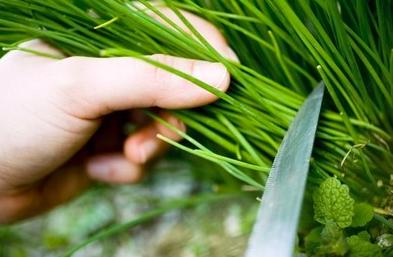 餐饮快招公司是怎么招商的,餐饮快招公司加盟可靠吗