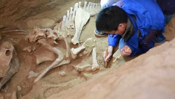 九层妖塔隐藏什么样的财富力量,真正的九层妖塔在哪