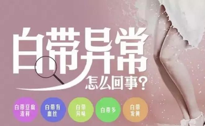 备孕那些事排卵期,备孕那些事儿完整