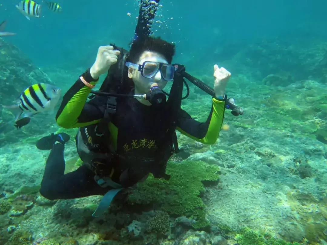 三亚潜水哪个俱乐部最好,三亚潜水得请教练么