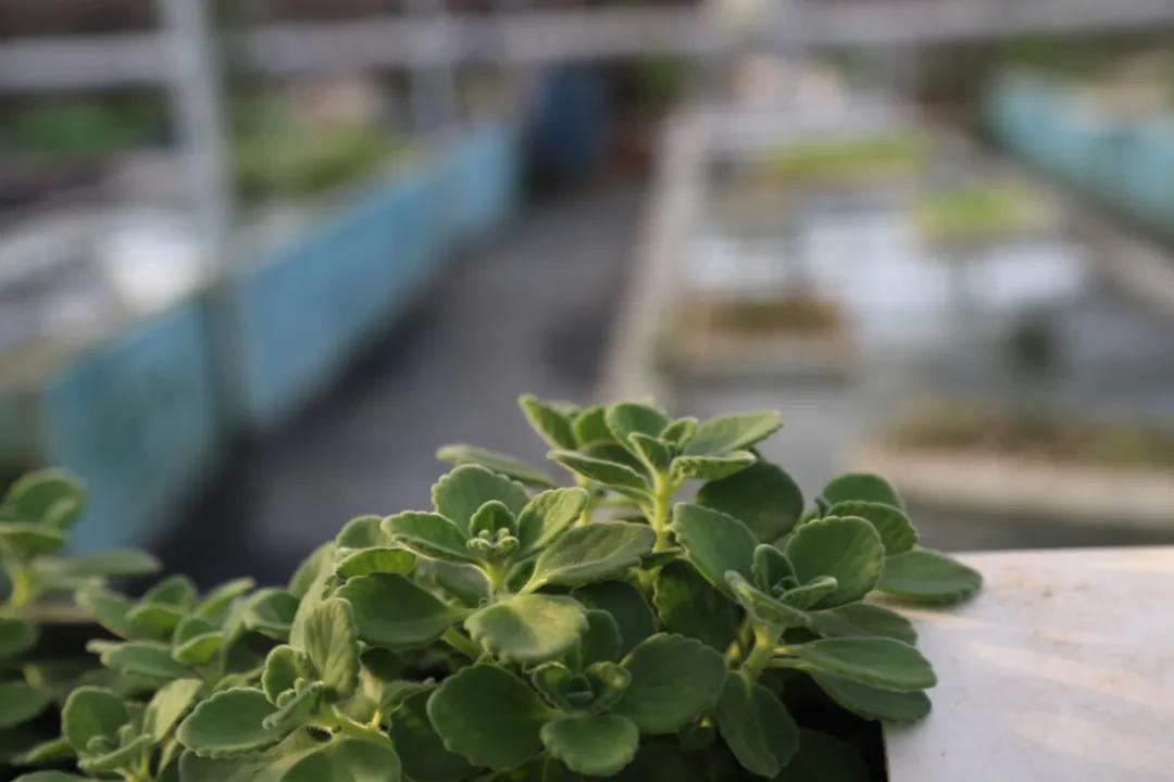 汉川5天周边游攻略,汉川徒步旅游攻略一日游