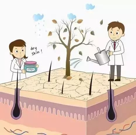 冬季干燥寒冷怎么护肤,干燥寒冷怎么保湿