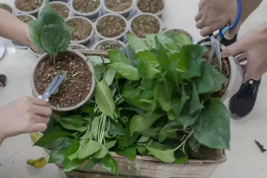 他是“毒包书皮”引爆者，在公益和商业间将企业营收干到近亿