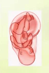 “肛”湖问道|动动小耳朵,身体百病消