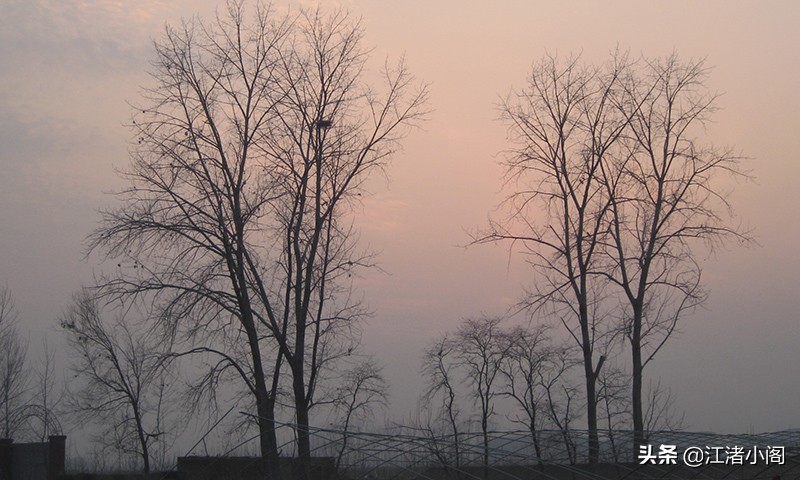 没有工作动力怎么办,工作没有动力情绪低落