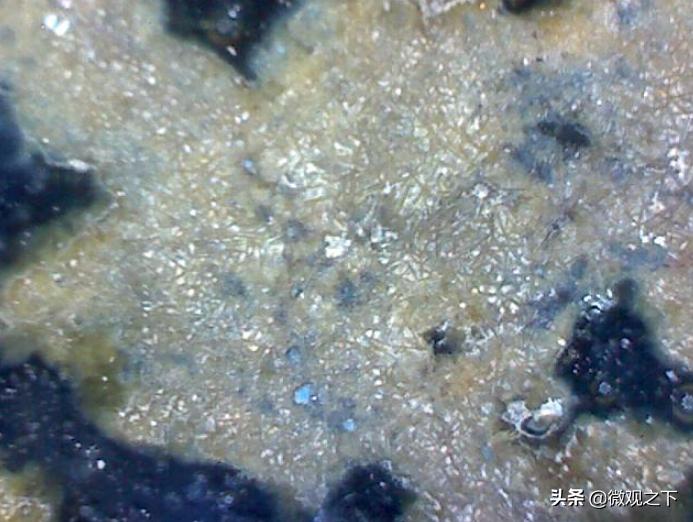 瓷器识别基础知识,瓷器微观鉴定视频教程