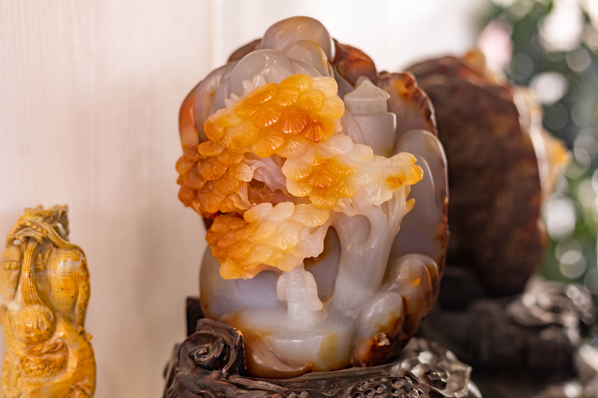 大自然的馈赠满山遍野的花,大自然的馈赠深山老林