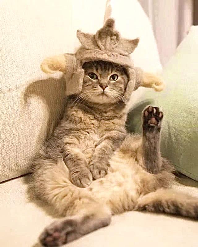 qq被冻结了有没有事,为什么一觉醒来发现qq被冻结了