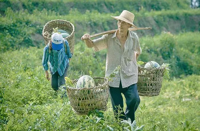 大暑的五种美,小暑的七种食物