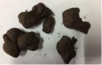 「药师说药」“厨房里的圣药”——姜