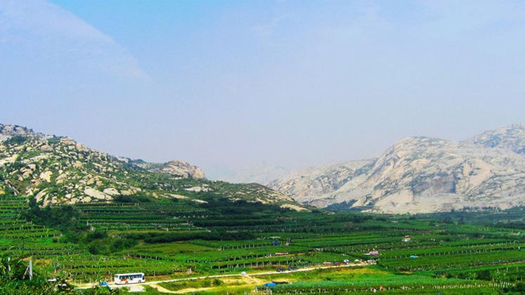 青岛人口最多的十个县,青岛市人口最多的区是哪个