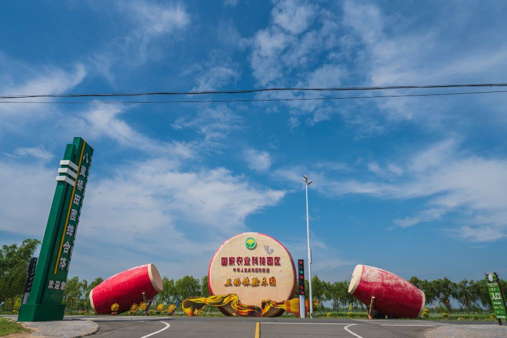 她是滔滔千里黄河的宠儿,阴山之下、河套之上的掌上明珠