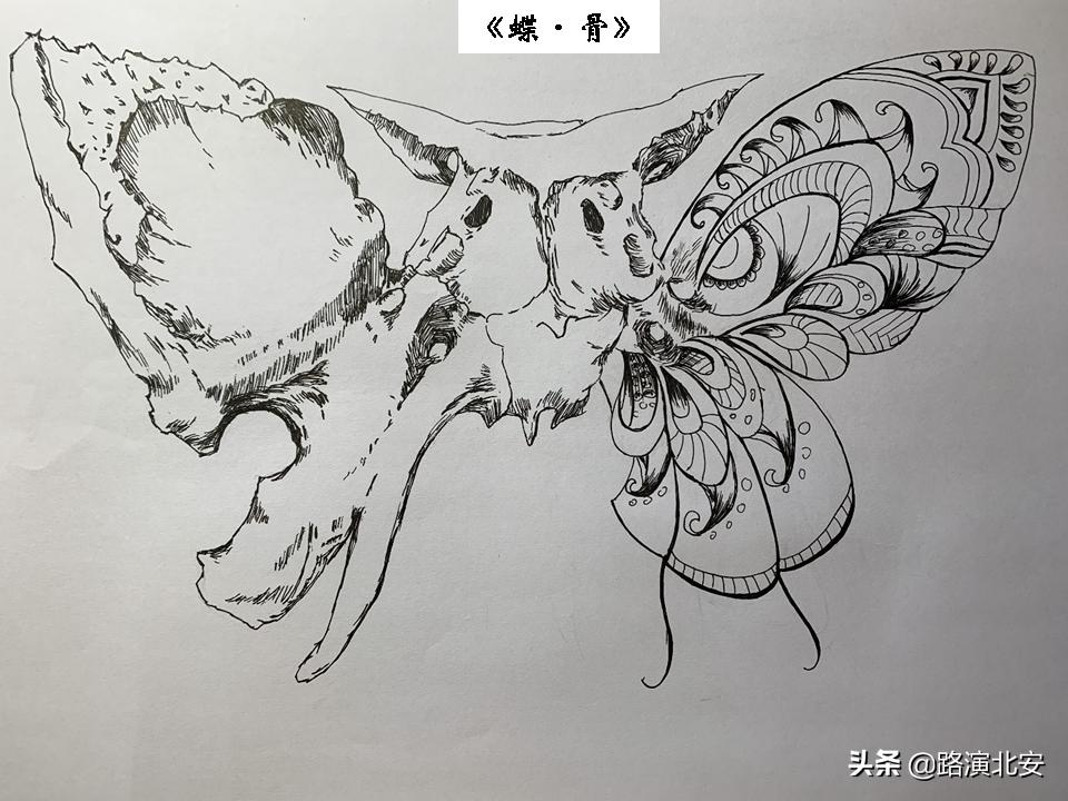 生命的故事绘本视频,生命的故事绘本绘画