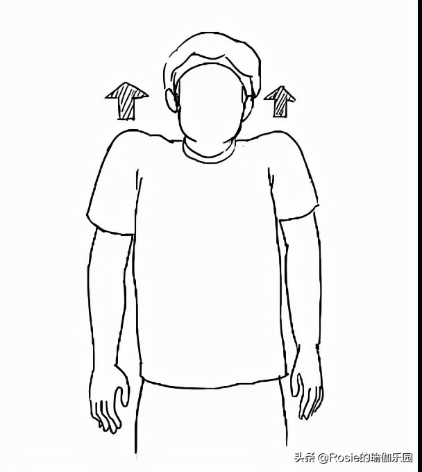 金晨瘦背瘦手臂,金晨又成功穿出三七分比例身材