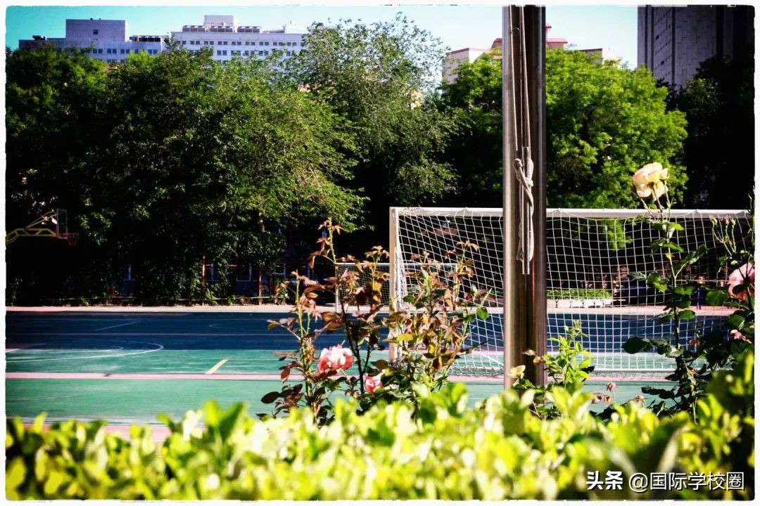 目标四,第四国际的目标