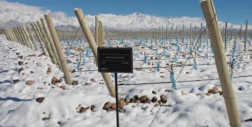 三个关键词回顾,三个关键词到底要怎么样找