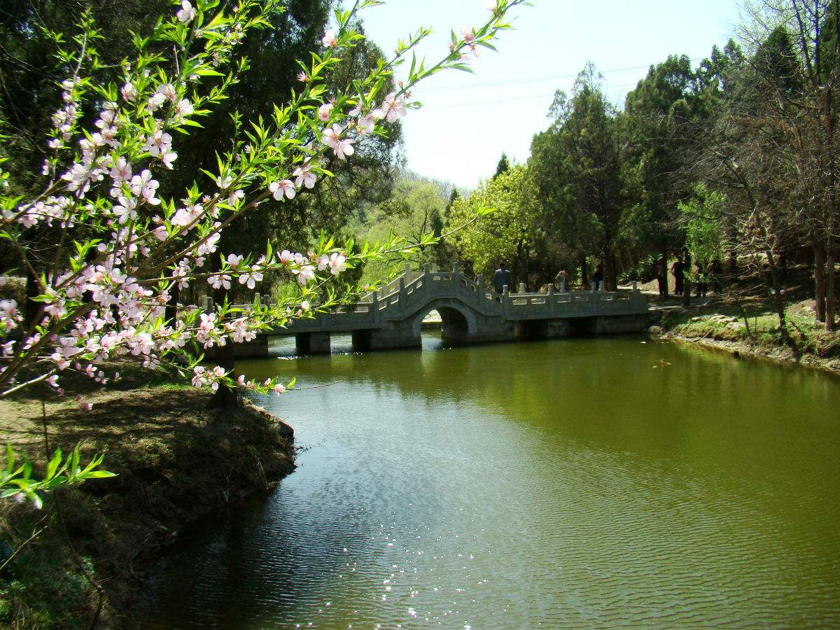 济宁市4a级景区,济宁5a级景区都是有哪些景点