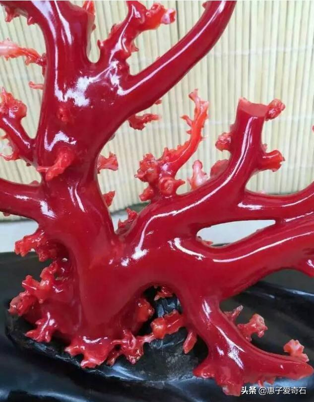 台湾省奇石玉石一览,中国四大奇石价值连城