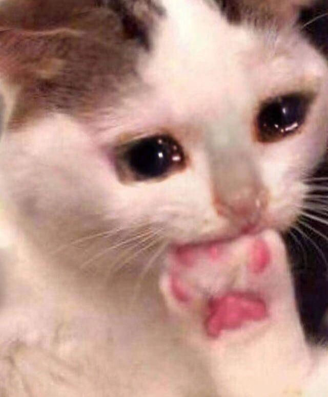 鍖楁紓閬囧埌鐨勫钁╀簨,鍖楁紓璺笂閬囧埌鐨勫钁╀簨