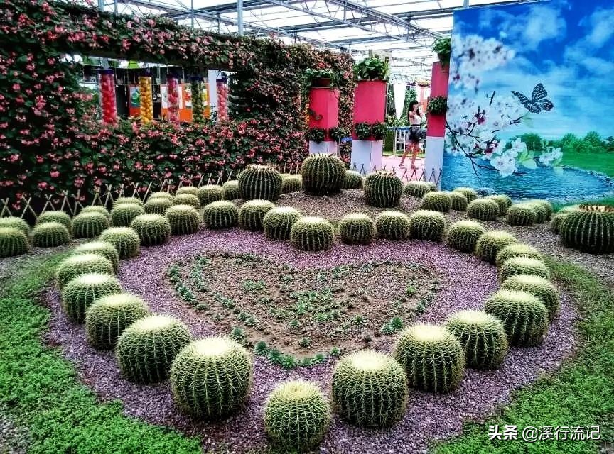 锦州世博园公交车时间表,锦州世博园9月中旬