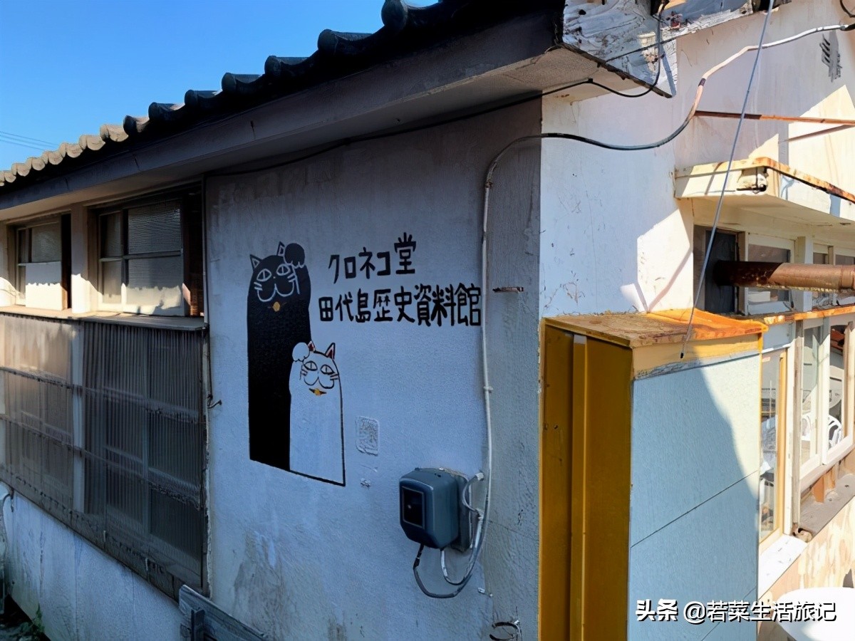 猫奴们都想去的圣地日本的猫岛,日本猫岛猫咪