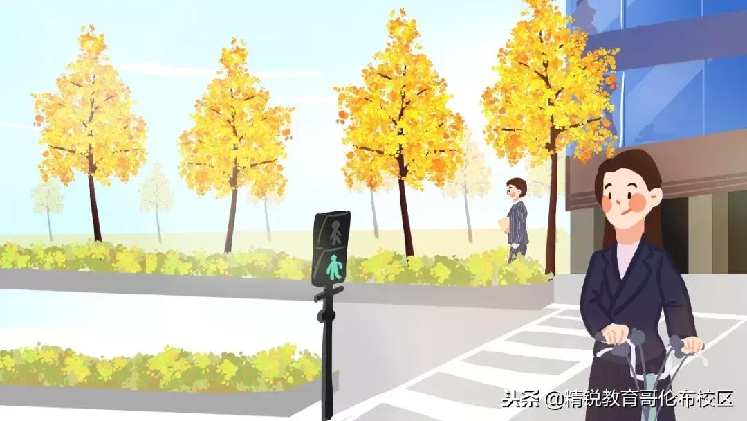 小学修辞手法句子类型知识点总结,小学带修辞手法的阅读理解例文